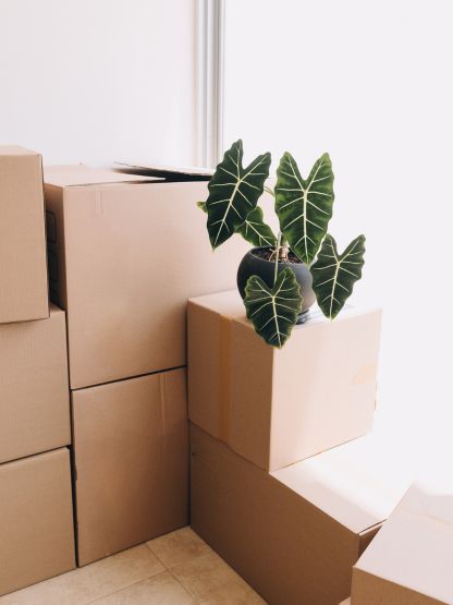 South Packers and Movers Team at Work in Siliguri